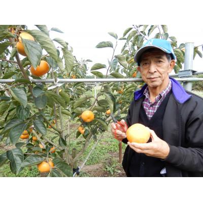 ふるさと納税 かすみがうら市 秋の柿三種(太豊・陽豊・富有から三種類)セット　合計10〜14個　約3.5kg |  | 01