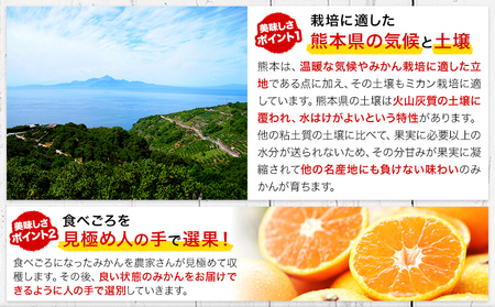 みかん 訳あり くまもとみかん 約5kg S-2Lサイズ サイズ混合 ご家庭用《7-14営業日以内に出荷予定(土日祝除く)》 フルーツ サイズ混合 秋 旬 柑橘 小玉 中玉 大玉 熊本県 荒尾市 熊本