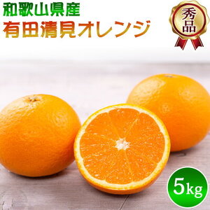 【2027年先行予約】秀品 きよみ 清見オレンジ 和歌山 有田 S～2Lサイズ 大きさお任せ 約5kg_DZ6031n