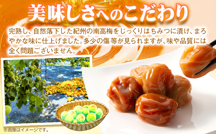 南高梅 はちみつ 梅 わけあり 紀州南高梅 はちみつ梅 2.6kg 有限会社プラム《30日以内に出荷予定(土日祝除く)》和歌山県 日高町 送料無料 梅 うめ ウメ 南高梅 蜂蜜 紀州 訳あり 送料無料