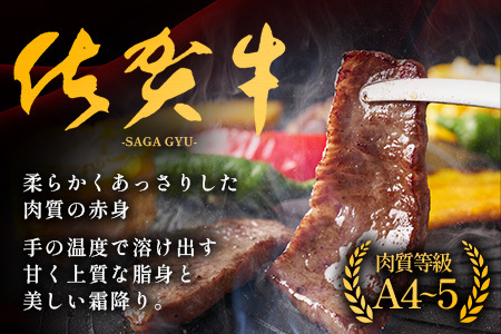 佐賀牛小肉500g（カルビ、ロース）B-840