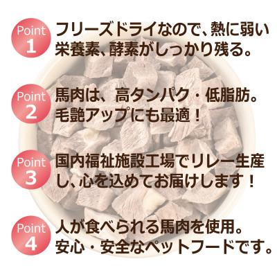 ふるさと納税 泉佐野市 【毎月定期便】馬肉フリーズドライ ペットフード 25g×3袋(犬猫用 国産)全3回 099Z356 |  | 03