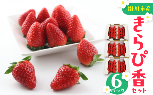 きらぴ香セット(6パック　約1560g)　酸味は控えめで濃厚な甘さのおいしいいちご【配送不可地域：離島・北海道・沖縄県・四国・九州】