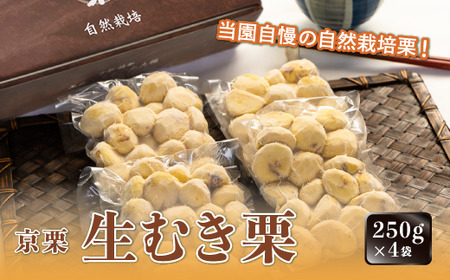 《12月発送》京栗 生むき栗 冷凍 1kg（250g×4袋） 栗 栗 栗