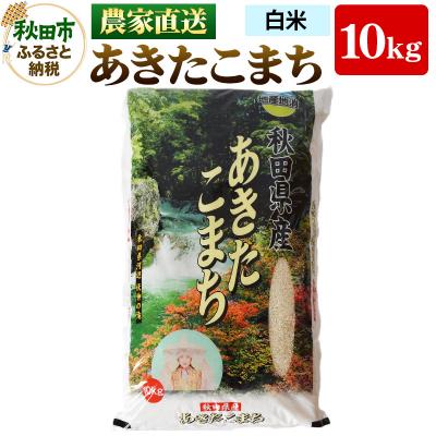 ふるさと納税 秋田市 米 あきたこまち 10kg 令和7年産 新米 白米 田口商店|15_tgs-011001