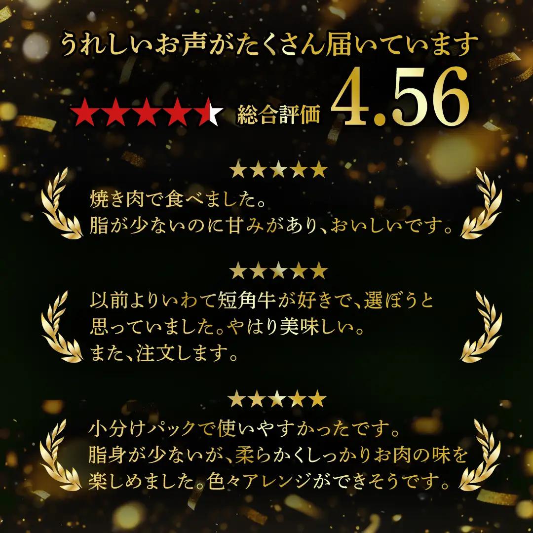 いわて短角和牛 牛肉切り落とし 500g / 牛肉切り落とし (AB114) 【数量限定】