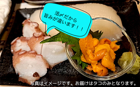 北海道産・ボイルたこ脚 (真だこ)　1kg前後 たこ 刺身 たこ焼き カルパッチョ 北海道 海鮮 海産物 冷凍 F4F-2245