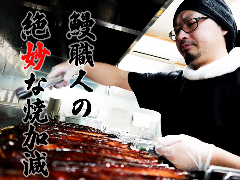 FK016　【6回定期便】九州産　うなぎ職人手焼き　蒲焼　国