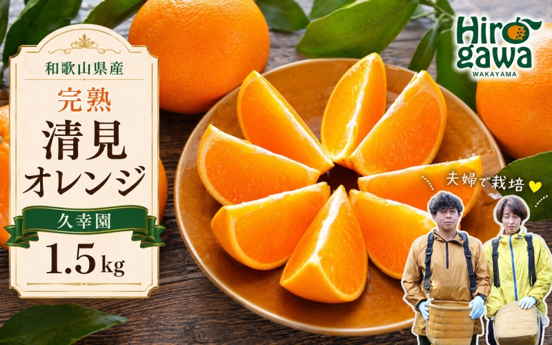 完熟 清見 オレンジ 1.5kg 久幸園 / 清見オレンジ 清見タンゴール きよみ 清美 甘い 高級 和歌山 柑橘 ※2027年4月上旬～5月上旬に順次発送  【hsk011-r-1d5】