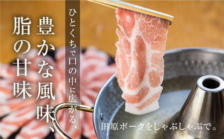 田原ポーク しゃぶしゃぶ 豚肉 食べ比べ 1.2kg 豚肉