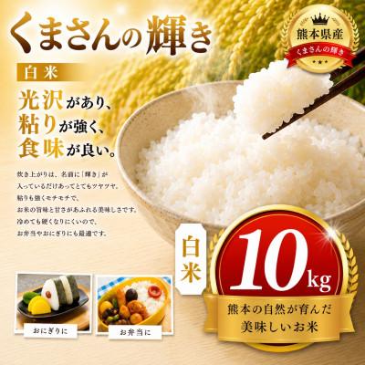 ふるさと納税 玉名市 【熊本県産】 くまさんの輝き 白米 10kg