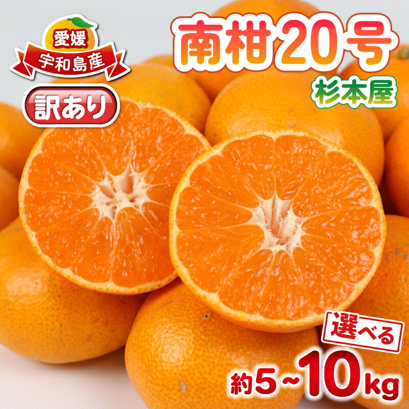 【ふるさと納税】 訳あり 南柑20号 みかん 選べる 内容量 5kg~10kg 杉本屋 わけあり 訳あり品 訳アリ 愛媛みかん 愛媛蜜柑 愛媛ミカン 温州 温州みかん 甘い 果物 くだもの フルーツ 柑橘 蜜柑 mikan 産地直送 数量限定 国産 愛媛 宇和島