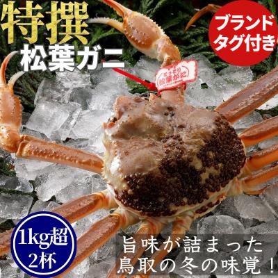 ふるさと納税 八頭町 【活物】特撰 松葉がに(タグ付き)1kg超の大きいサイズ　特大2杯