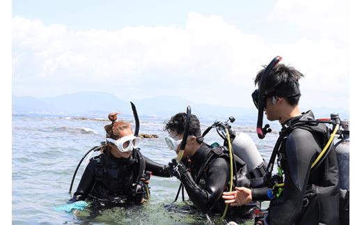 ダイビング 初級ライセンス講習 1名様分　初めてダイビングする、初めてライセンスを取得する方向けのコース　スキューバダイビング チケット【ark102】