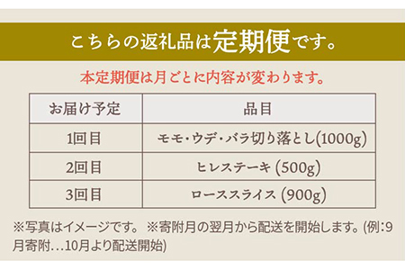【肉のプロが厳選！】【全3回】佐賀県産和牛 極上定期便【株式会社いろは精肉店】 [IAG071]