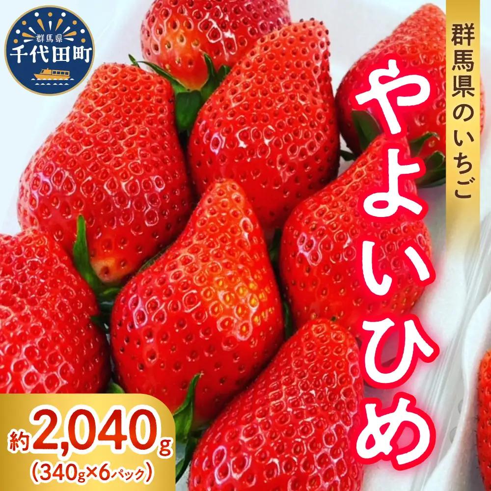【クール便】2027年3月発送 いちご やよいひめ 約340g×6