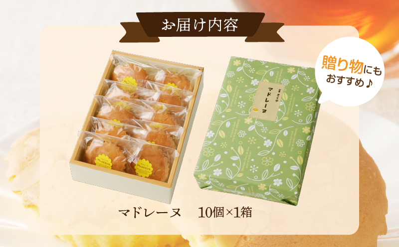 【2週間以内発送】老舗菓子舗のマドレーヌ計10個_T035-0026【焼き菓子 スイーツ 詰め合わせ 洋菓子 人気 ギフト 食品 贈り物 お土産 デザート 加工品 送料無料 プレゼント】