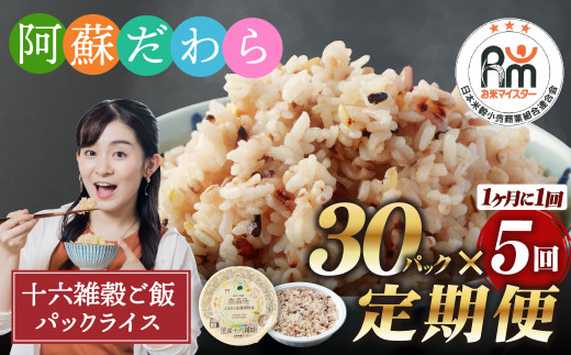 【定期便5ヶ月】阿蘇だわら 十六雑穀ごはん パックライス 160g×30パック 十六雑穀 雑穀 ごはん 米  香り 甘み  国産 定期便