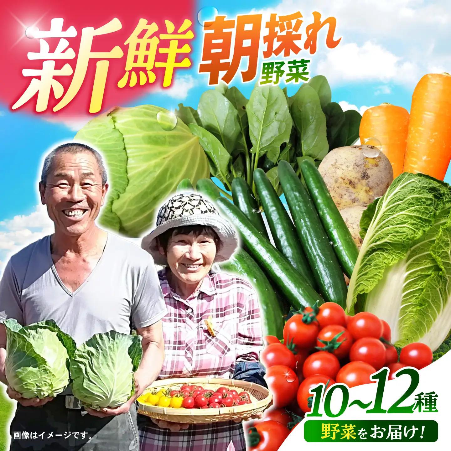 諫早のんのこ彩菜・詰め合わせ 10・12品目程度 / 季節 旬 野菜 やさい 春野菜 夏野菜 秋野菜 セット 詰め合わせ / 諫早市 / 肥前グローカル株式会社 [AHDI005]