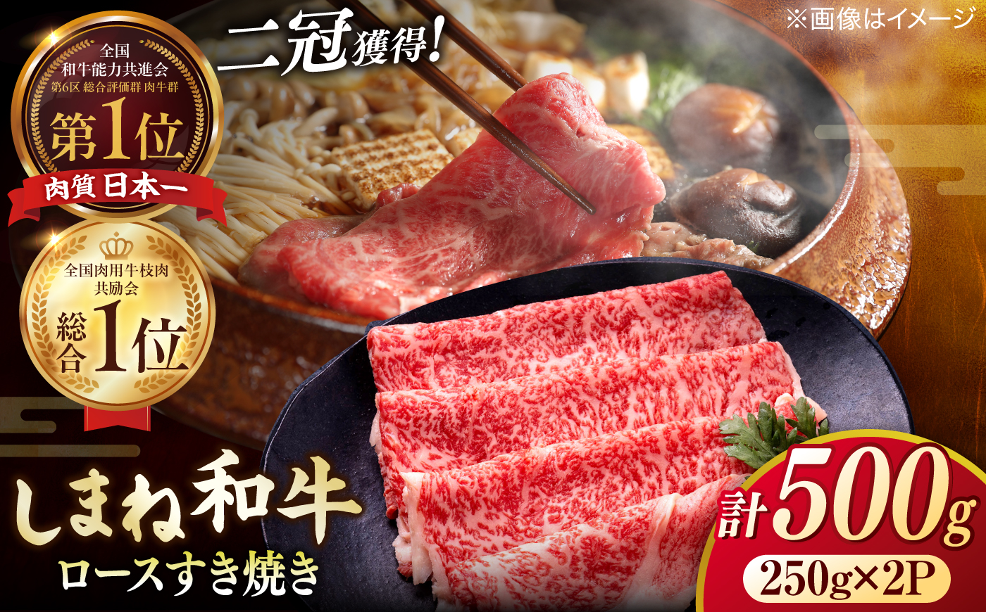 最高級品質の和牛肉！しまね和牛 ロースすき焼き用 500g（250g×2パック） 島根県松江市/有限会社宮本食肉店 [ALCV014]