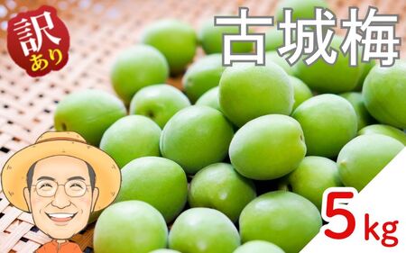 古城梅 約5kg (＋保証100g)【訳あり】 サイズ不揃い カキエモン農園【BX-kkem025】