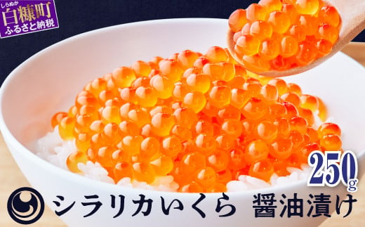 
シラリカいくら(醤油味) 250g いくら イクラ 小分け 鮭いくら 鮭イクラ イクラ醤油漬 いくら醤油漬け イクラ醤油漬け 鮭 鮭卵 ikura いくら醤油漬 醤油いくら 醤油イクラ 冷凍いくら 冷凍イクラ 鮭 イクラ醤油漬 人気いくら 人気イクラ 大人気いくら人気 ふるさと納税 ふるさとチョイス 北海道 白糠町
