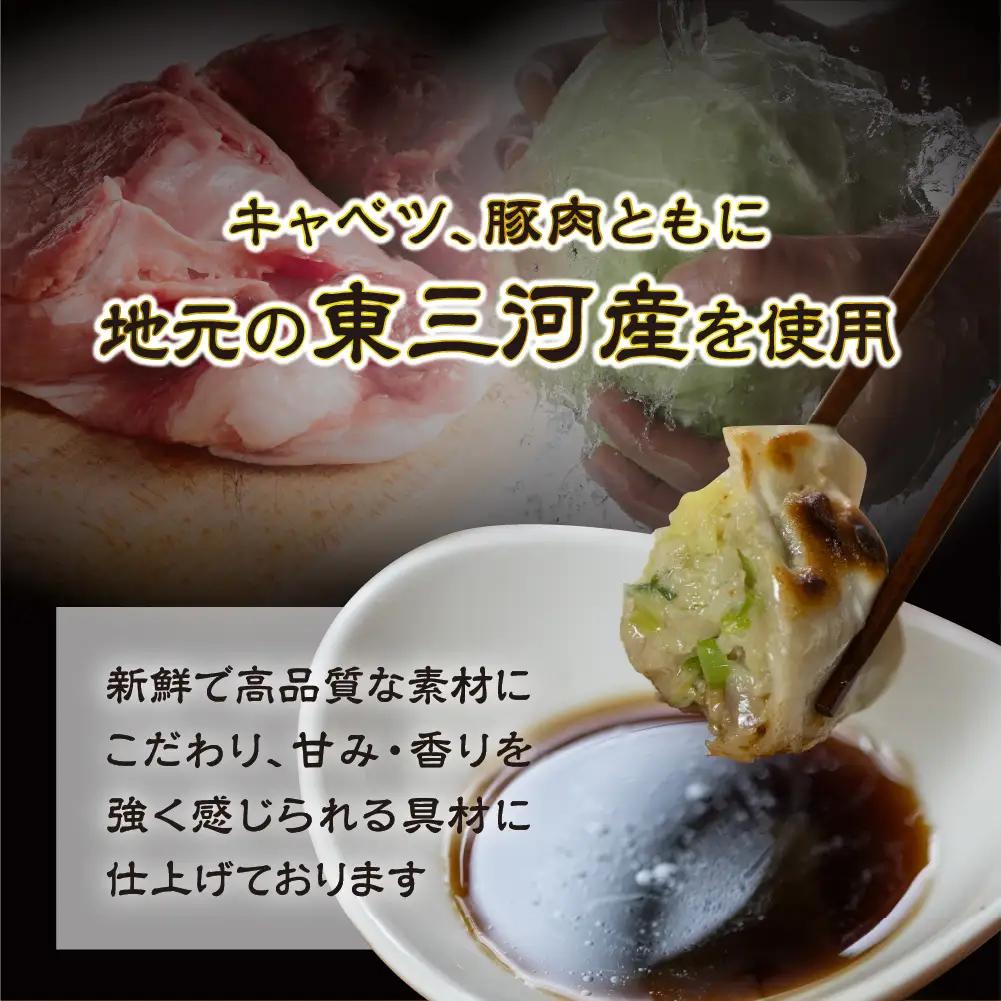 国産素材 冷凍餃子 100個 餃子 餃子