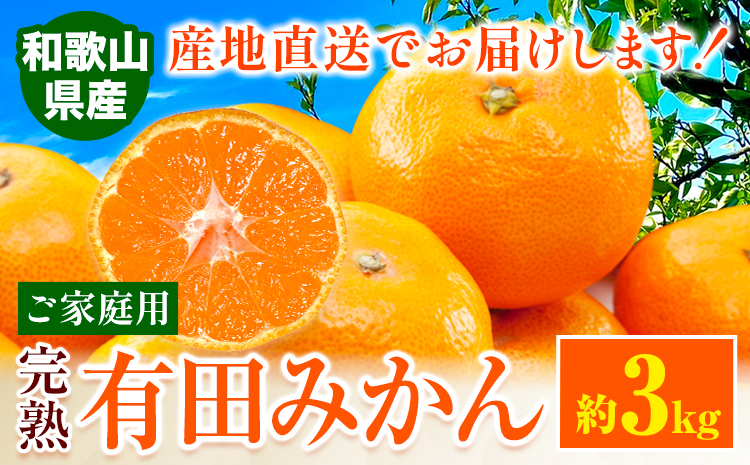 みかん ご 家庭用 完熟 有田みかん 約 3kg 有田マルシェ《11月上旬-11月下旬頃出荷》和歌山県 日高町 みかん 有田みかん 柑橘 フルーツ 完熟 訳あり みかん 蜜柑 ミカン 柑橘