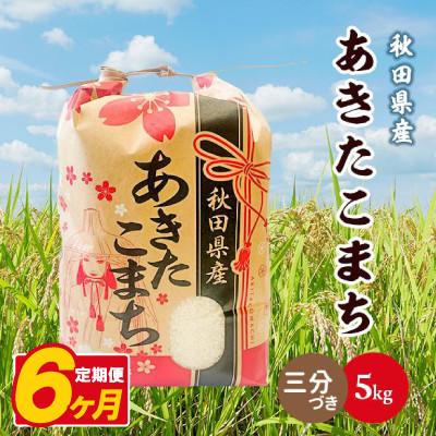ふるさと納税 八郎潟町 【毎月定期便】あきたこまち 5kg【3分づき(精米)】 秋田県産全6回