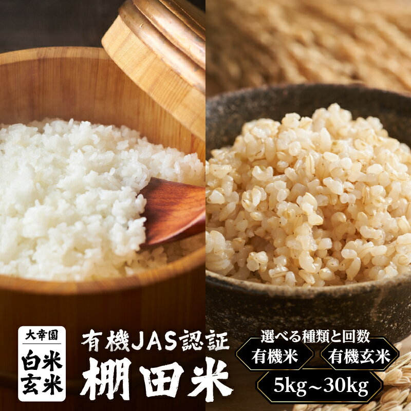 【ふるさと納税】【選べる種類・回数】大幸園の米 有機JAS 認証 棚田米 5kg （有機米・有機玄米）（1回・3回・6回） 米 お米 白米 玄米 有機米 有機玄米 甘い 有機栽培 無農薬 縁結び米 福岡県 八女市