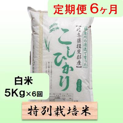 ふるさと納税 池田町 【毎月定期便】6ヶ月【令和7年産】特別栽培米5kg【白米】(コシヒカリ)全6回