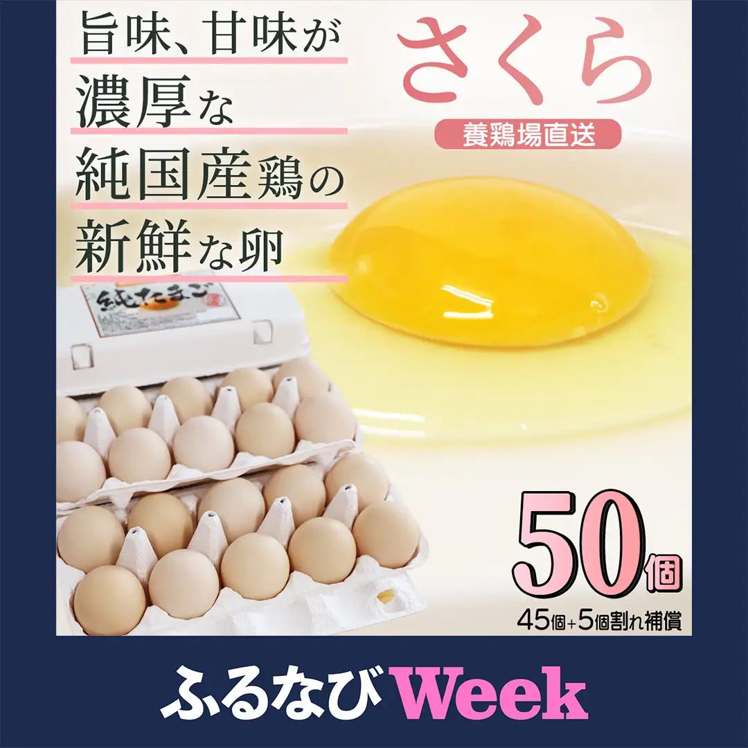 純国産鶏【さくら】純たまご 50個入り 破損保証5個を含む (AJ035)