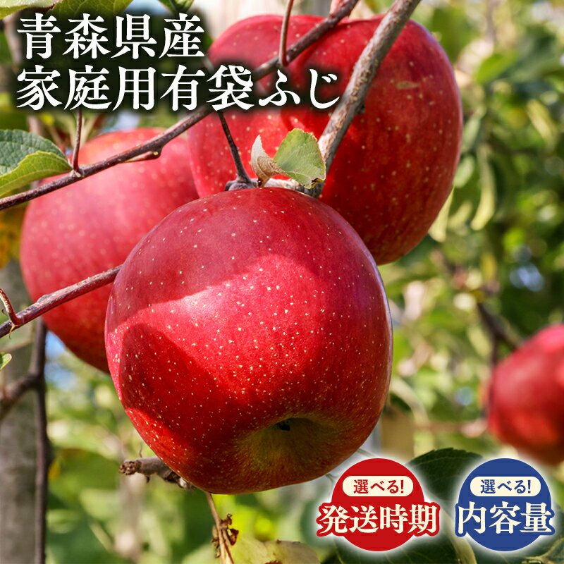 【ふるさと納税】≪内容量と配送月が選べる≫ 青森県産 家庭用 有袋ふじ【青森県 平川市 丸勝木村商店】平川市産 青森りんご りんご リンゴ 林檎 ふじ 訳あり 家庭 わけあり お取り寄せ 先行予約 果物 くだもの フルーツ レビューキャンペーン