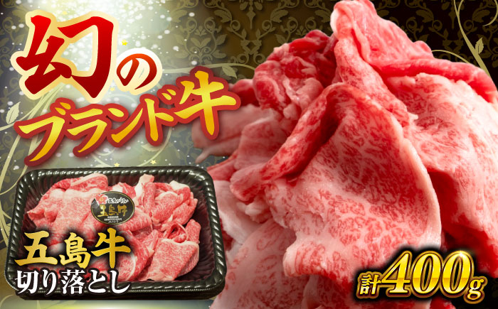 
                  五島牛の切り落とし 400ｇ 五島市/株式会社 Factory [PFN011]国産牛 牛肉 ブランド牛 牛 肉 お肉 切り落とし 五島 五島列島 和牛 国産 焼肉 カレー 牛丼 シチュー 鍋 お取り寄せ グルメ 
                