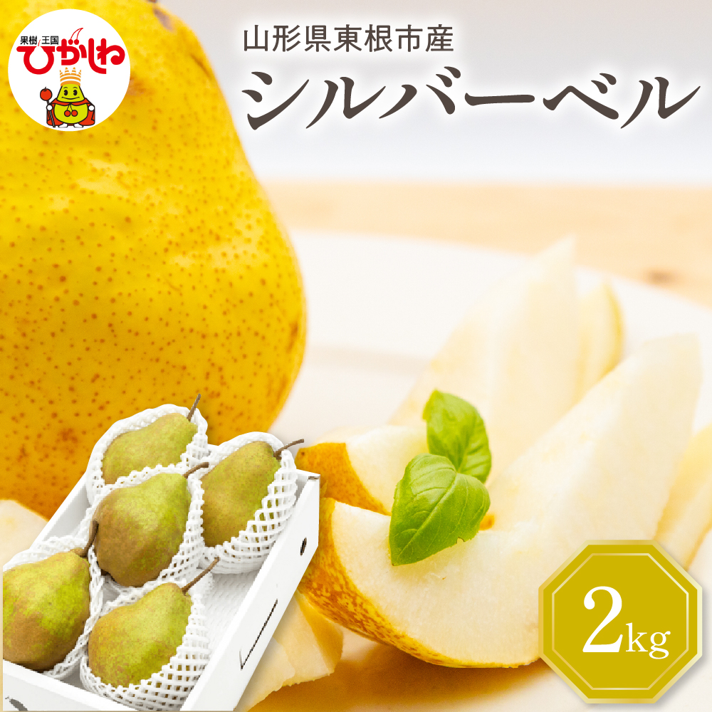 【2026年産】 西洋梨 シルバーベル 2kg 秀品 化粧箱入り 山形県 東根市 東根農産センター提供 hi027-199-r8