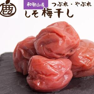 家庭用 紀州南高梅 しそ梅干し 500g つぶれ梅 塩分ひかえめ［IKE84］