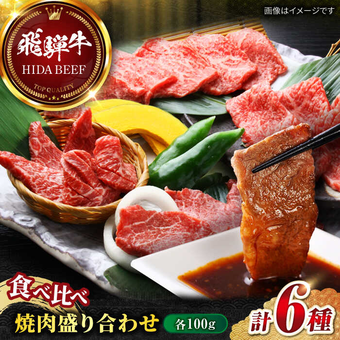 【ふるさと納税】【飛騨牛】食べ比べ 焼肉盛り合わせ6種 各100g / 飛騨牛 ひだぎゅう 焼肉 やきにく 牛肉 和牛 ミスジ イチボ 飛騨牛 岐阜市/丸福商店[ANBO027]
