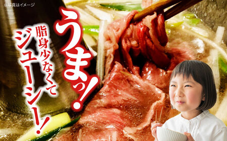 【全3回定期便】牛肉 牛しゃぶ用 300g [APAZ066] 牛肉