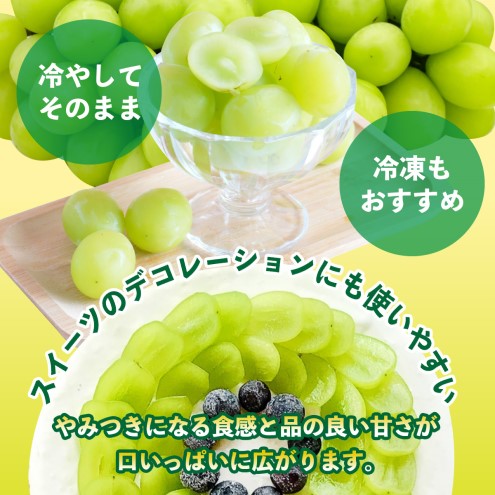 シャインマスカット 約1.4kg (350g×4p) 朝倉市産 シャイン マスカット ぶどう ブドウ 果物 葡萄 デザート ※配送不可:離島