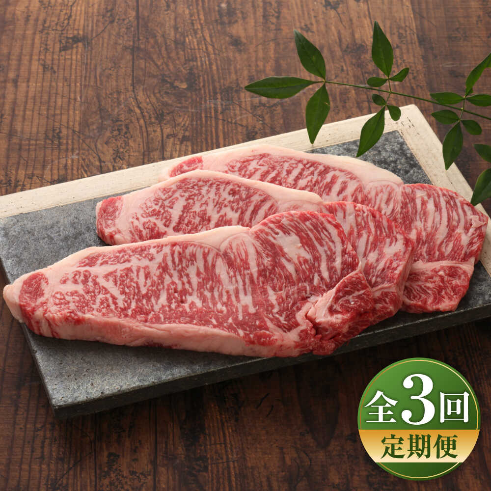 【ふるさと納税】【全3回定期便】【GI認証】くまもとあか牛サーロインステーキ 約200g×3枚 / 菊陽町 あかうし 熊本県 肉 にく niku ブランド 旨み くまもとあか牛 和牛 自社牧場 直接 最高 牛 牛肉 ぎゅうにく ぎゅう肉 冷凍 国産【有限会社 三協畜産】[BHAS066]