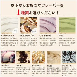 ジェラート イタリアンジェラート 1000ml 1L 選べるフレーバー 1種