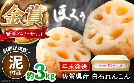 【年末発送】【金賞受賞！】松尾青果のこだわり白石れんこん 約3kg【松尾青果】[IBD019]