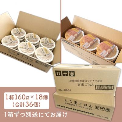ふるさと納税 境町 【最短翌日発送】茨城県境町産米使用 パックごはん 玄米・もち麦 各160g×18個 計36個 健康 |  | 01