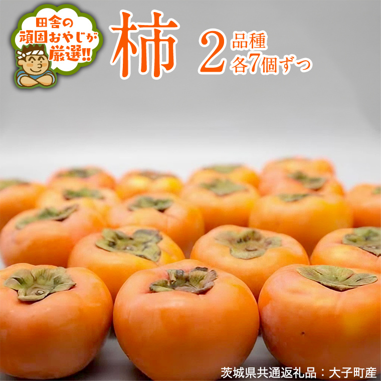 柿　2品種 食べ比べ 各7個ずつ【10月中旬より発送開始】（茨城県共通返礼品：大子町産） 果物 フルーツ 茨城県産 [BI455-NT]