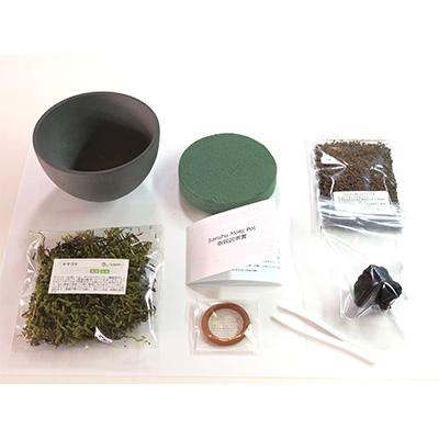 ふるさと納税 安城市 三州モスポット(sanshu moss pot) |  | 03