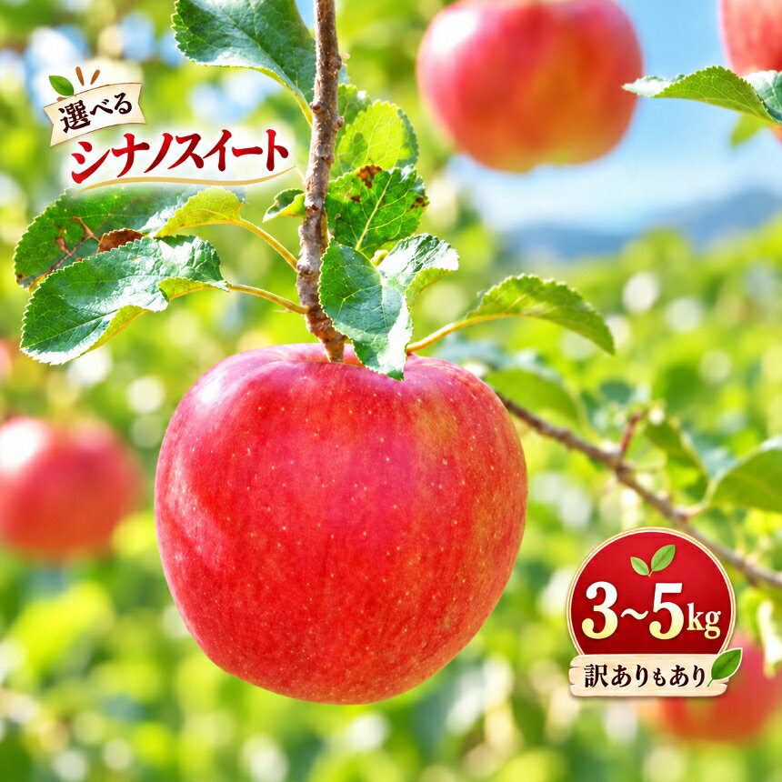 【ふるさと納税】 りんご シナノスイート 令和8年10月中旬発送 シナノスイート 選べる 約3キロ・約5キロ・小玉約5キロ・訳あり約3キロ・訳あり約5キロ 与古美 | シナノスイート りんご 直送 あまい おやつ 長野県 伊那市【012-91】【018-34】【012-16】【010-e0】【016-31】