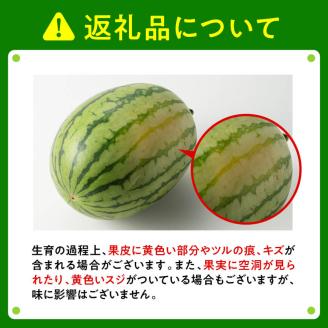 九州産すいか 小玉スイカ「マダーボール」２玉 【 数量限定 国産 宮崎県産 西瓜 フルーツ 果物 】[E10702]