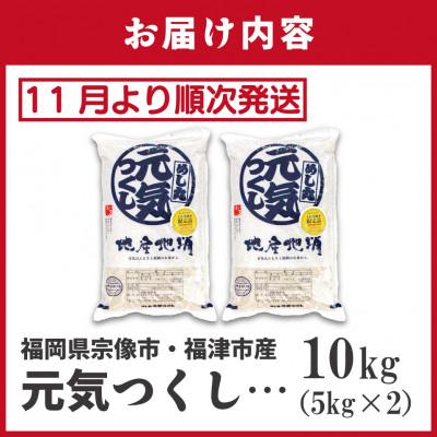 ふるさと納税 福津市 【R7年産】R7年11月〜JAより順次発送 福岡県ブランド米「元気つくし5kg」2袋[G2311] |  | 03