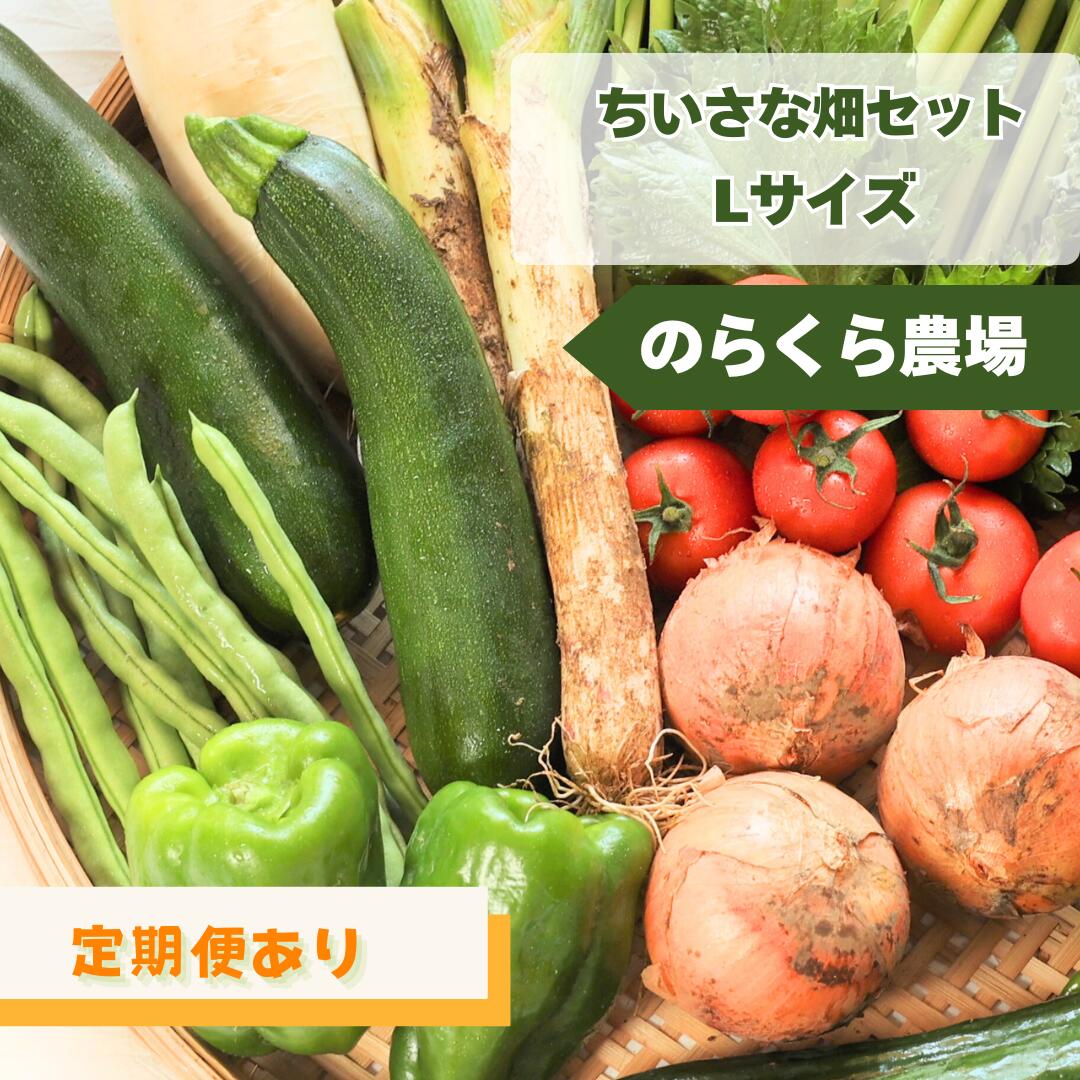 【ふるさと納税】【先行受付】≪定期便あり≫のらくら農場　信州北八ヶ岳からお届け～ちいさな畑セット～（Lサイズ　3～4人前） [NK-102]