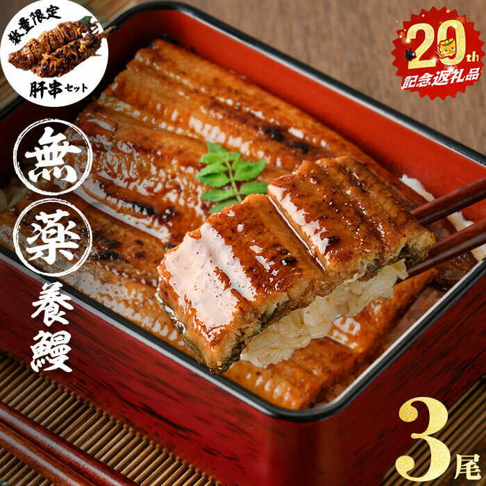 【ふるさと納税】【志布志市制20周年記念】【無薬養鰻】 鹿児島産 山田のうなぎ ＜計480g以上＞（160g以上×3尾） 肝串セット うなぎ 鰻 ウナギ 無薬 養鰻 無投薬 3尾 国産 九州産 蒲焼き かばやき 冷凍 うな重 ひつまぶし タレ 山椒 ランキング 人気【山田水産】a5-348